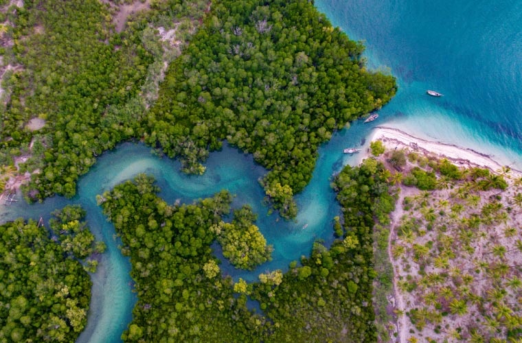 Descubre «Manglares del Ecuador» en el Museo Bahía de Caráquez